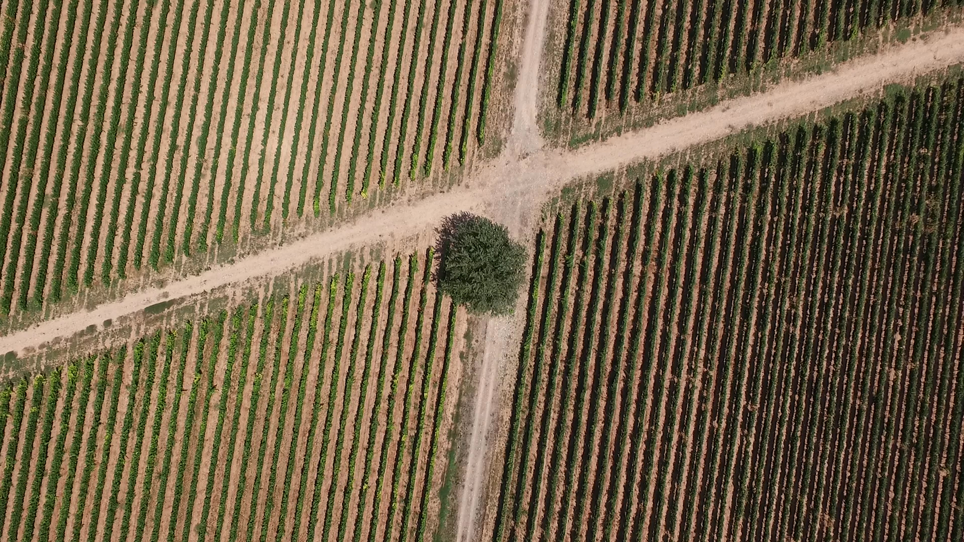 Rioja Vega en los medio marzo 2020