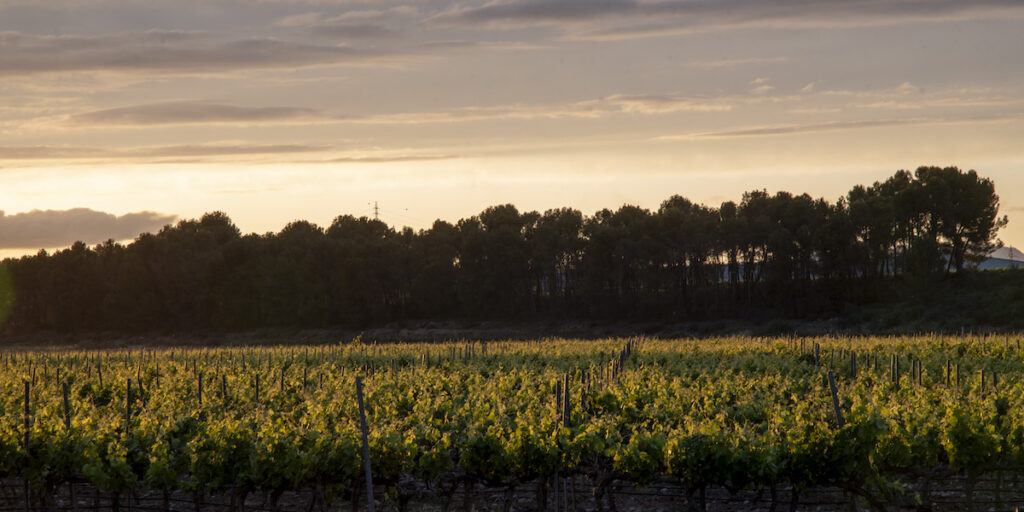 Paraje de la DOC Rioja Paraje de la DOC Rioja